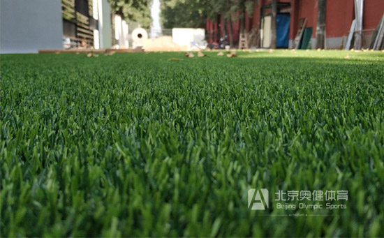 曲加直加密人工草坪紅節圖